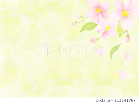 水彩タッチの桜の背景素材 水彩テクスチャ  水彩タッチの桜の背景素材 水彩テクスチャ  113141767