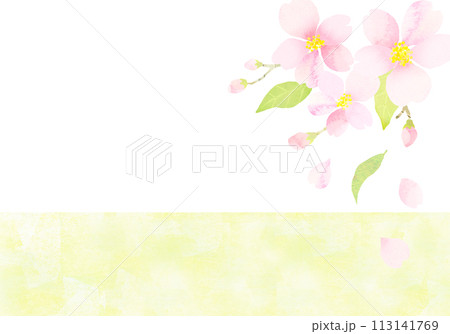 水彩タッチの桜の背景素材　水彩テクスチャ　 113141769