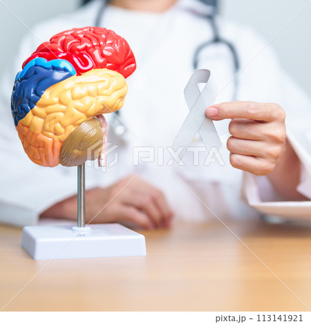 doctor with grey ribbon and human Brain anatomy model. Brain Cancer Awareness May month, World Brain Tumor day, Brain Stroke, Dementia, alzheimer, parkinson and world mental health concept 113141921