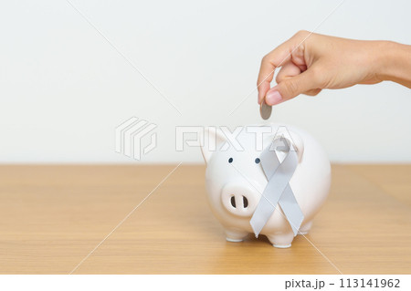 Brain Cancer Awareness May month, Grey Ribbon with Piggy Bank for support illness life. Health, Donation, Charity, Campaign, Money Saving, Fund and World cancer day concept Brain Cancer Awareness May month, Grey Ribbon with Piggy Bank for support illness life. Health, Donation, Charity, Campaign, Money Saving, Fund and World cancer day concept 113141962