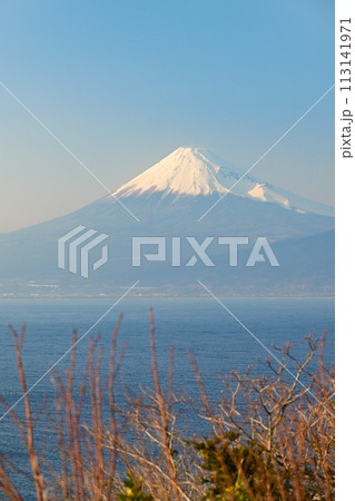 出逢い岬からの富士山 113141971