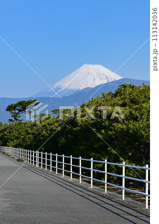 千本浜からの富士山 千本浜からの富士山 113142036