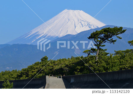 千本浜からの富士山 千本浜からの富士山 113142120