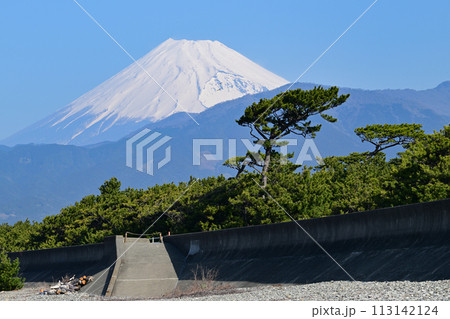 千本浜からの富士山 113142124