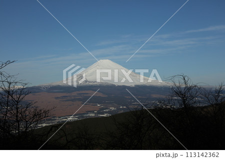 芦ノ湖スカイラインからの富士山 113142362