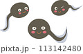おたまじゃくしの群れ おたまじゃくしの群れ 113142480