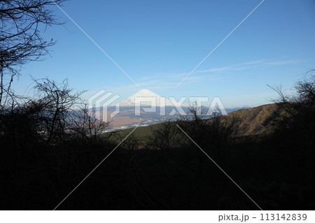 芦ノ湖スカイラインからの富士山 113142839