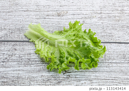 Ripe green salad lettuce leaf 113143414