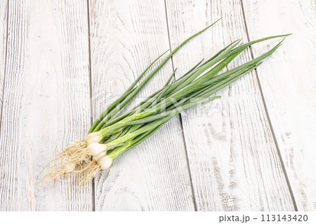 Young aroma fresh green onion 113143420