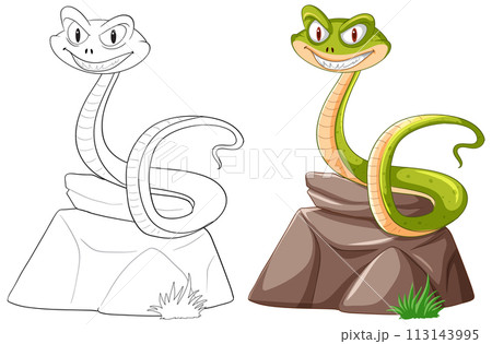 Friendly Cartoon Snakes on Rocks 113143995
