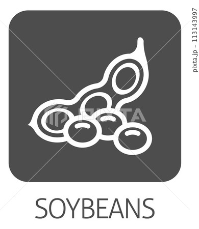 A Soybean Soy Bean Food Allergen Icon Concept A Soybean Soy Bean Food Allergen Icon Concept 113143997