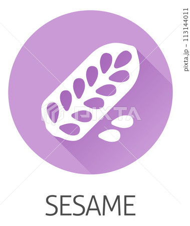 Sesame Seed Capsule Pod Food Allergen Icon Concept Sesame Seed Capsule Pod Food Allergen Icon Concept 113144011