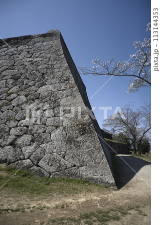 米子城跡 113144353