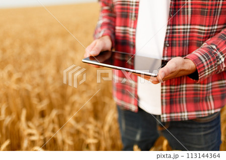 Smart farming using modern technologies in agriculture. Man agronomist farmer with digital tablet computer in wheat field using apps and internet, selective focus Smart farming using modern technologies in agriculture. Man agronomist farmer with digital tablet computer in wheat field using apps and internet, selective focus 113144364