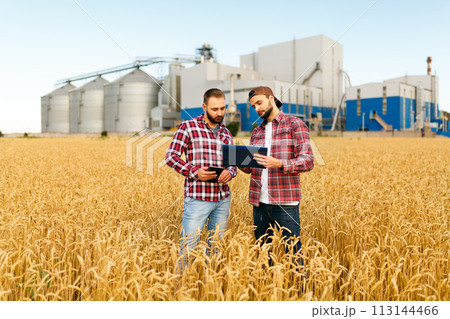 Two farmers stand in a wheat field with tablet. Agronomists discuss harvest and crops among ears of wheat with grain terminal elevator on background Two farmers stand in a wheat field with tablet. Agronomists discuss harvest and crops among ears of wheat with grain terminal elevator on background 113144466