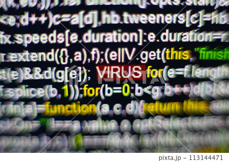 Macro photo of computer screen with program source code and highlighted VIRUS inscription in the middle. Script on the screen with virus in it. Cyber security concept. Technology background. Selective 113144471