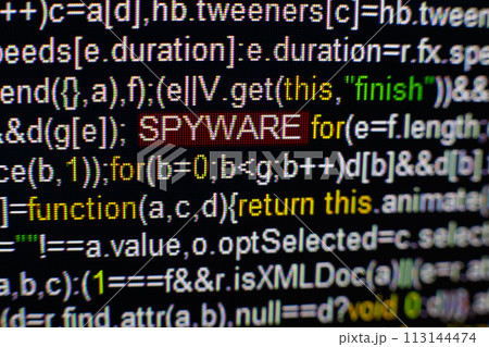 Macro photo of computer screen with program source code and highlighted SPYWARE inscription in the middle. Script on the screen with virus in it. Cyber security concept. Technology background. Macro photo of computer screen with program source code and highlighted SPYWARE inscription in the middle. Script on the screen with virus in it. Cyber security concept. Technology background. 113144474