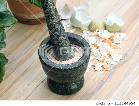 Crushed egg shells enrich the soil with calcium and other elements. 113144954