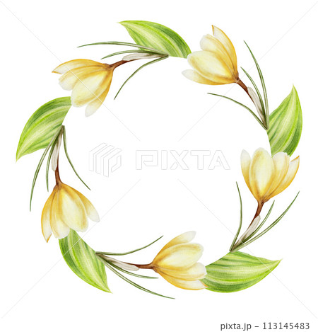 Watercolor frame, wreath, logo, template with bouquet of yellow blooming crocus flowers and leaves isolated on white background. Spring and easter botanical templates, banner. Hand painted saffron 113145483