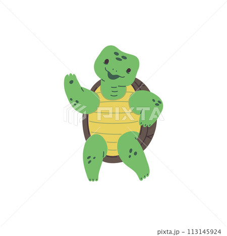 Cute happy green sea turtle dancing, vector cartoon funny character performance, reptile animal, exotic amphibian pet 113145924