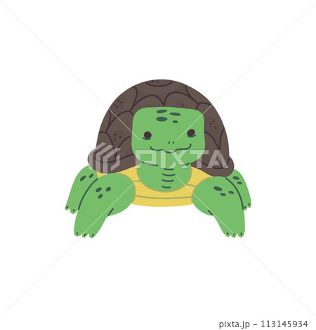 Fun green turtle vector for children's design on isolated background. 113145934