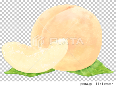 一個逼真的桃子和一片(帶葉子)的插圖 一個逼真的桃子和一片(帶葉子)的插圖 113146067