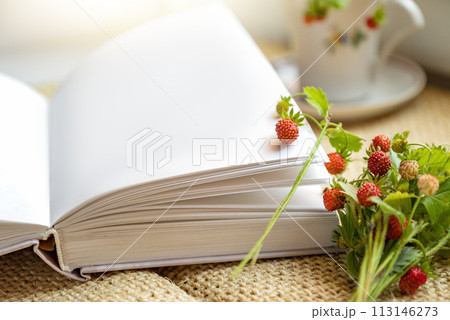 ripe red berries of wild strawberries on twigs lying next to open book ripe red berries of wild strawberries on twigs lying next to open book 113146273