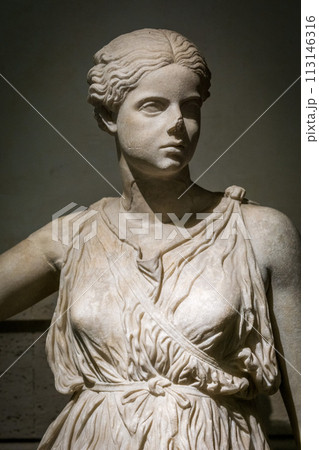 Ancient statue in Rome, Italy 113146316