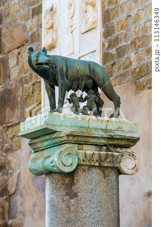 The Capitoline Wolf in Rome, Italy 113146349
