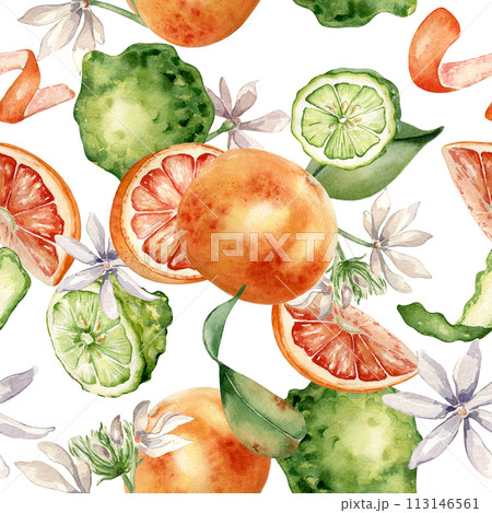 Mixed citrus fruits with white flowers watercolor seamless pattern isolated on white. Hand drawn grapefruit, bergamot with bright orange green peel in botanical sketch style for package, print 113146561