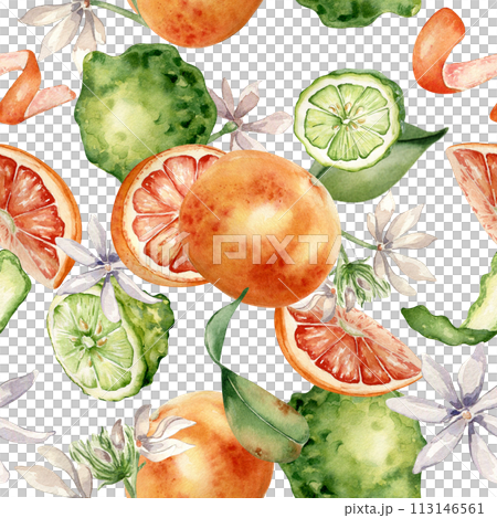 Mixed citrus fruits with white flowers watercolor seamless pattern isolated on white. Hand drawn grapefruit, bergamot with bright orange green peel in botanical sketch style for package, print 113146561