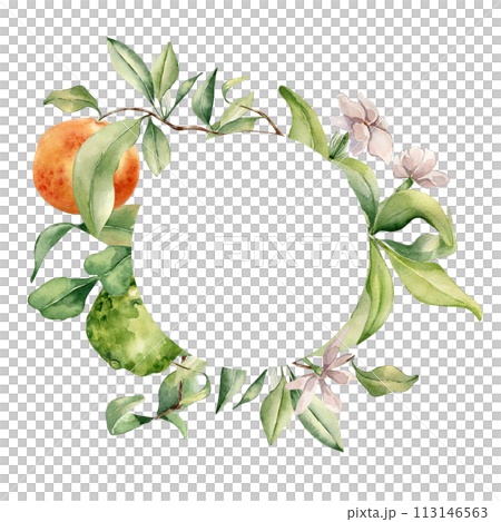 Circle frame with assorted citrus ripe. White flowers and fruit tree branches watercolor illustration isolated. Hand drawn grapefruit and jasmine in botanical sketch style for print products, package 113146563