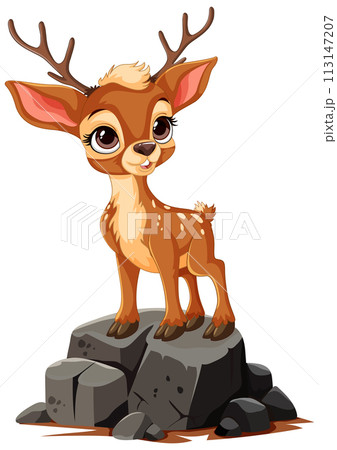 Adorable Fawn Standing on Rocks 113147207