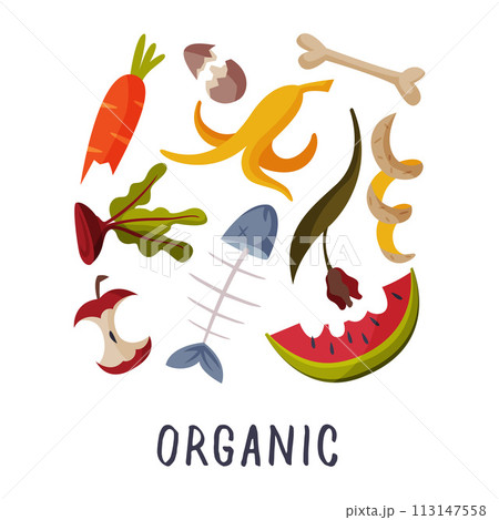 Organic Waste, Garbage Sorting, Segregation and Separation of Rubbish Vector Illustration on White Background Organic Waste, Garbage Sorting, Segregation and Separation of Rubbish Vector Illustration on White Background 113147558