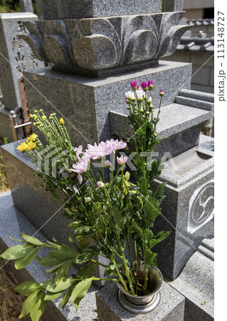 石碑に生けている花 石碑に生けている花 113148727