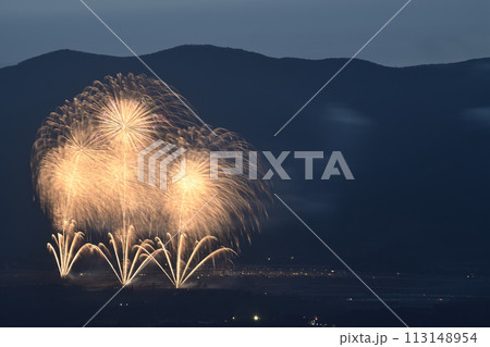 初夏の夜空を彩る花火 113148954