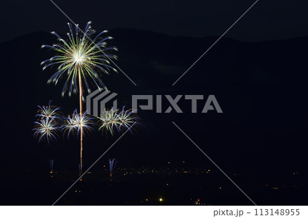 初夏の夜空を彩る花火 113148955