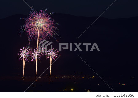 初夏の夜空を彩る花火 113148956