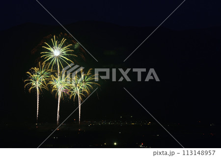 初夏の夜空を彩る花火 113148957