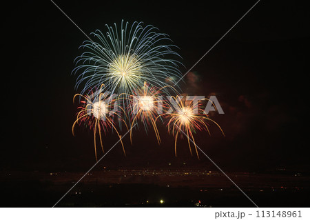 初夏の夜空を彩る花火 113148961