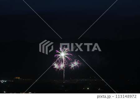 初夏の夜空を彩る花火 113148972