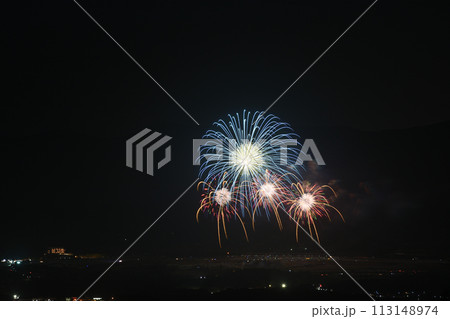 初夏の夜空を彩る花火 113148974