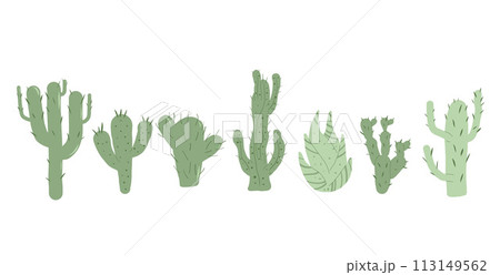 Cactus set isolation on white background. Mexican cacti and aloe. Exotic various plants collection Vector hand drawn illustration 113149562