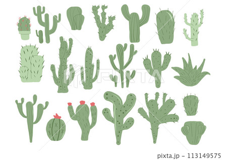 Cactus hand drawn set isolation on white background. Mexican cacti and aloe. Exotic various succulent plants collection Vector illustration 113149575