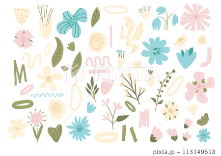 Hand drawn flowers set. Botanical various nature spring elements. Modern abstract floral, geometric and leaves shapes. Vector scribble illustration for summer doodle design. 113149618
