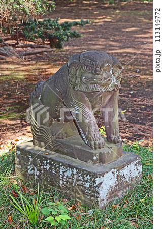 金子厳島神社（調布） 113149772