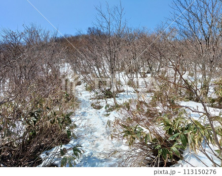 額取山 113150276