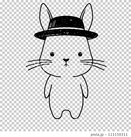 帶著帽子的兔子 113150311