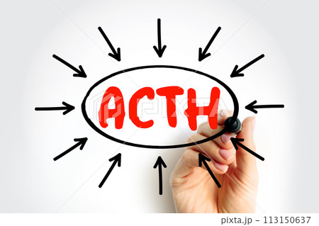 ACTH Adrenocorticotropic hormone - polypeptide tropic hormone produced by and secreted by the anterior pituitary gland, acronym text with arrows 113150637
