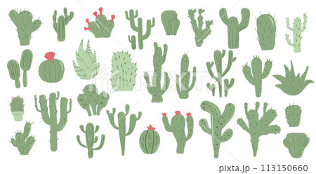 Cactus set isolation on white background. Mexican cacti and aloe. Exotic various plants collection Vector flat illustration Cactus set isolation on white background. Mexican cacti and aloe. Exotic various plants collection Vector flat illustration 113150660